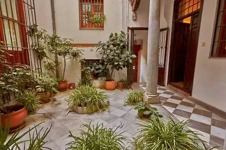 Luminous Alhambra View In Albayzin Apartment